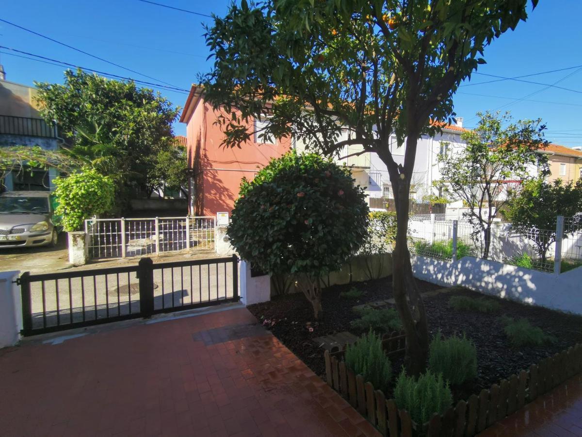 Villa Coimbra - Casa Inteira 외부 사진