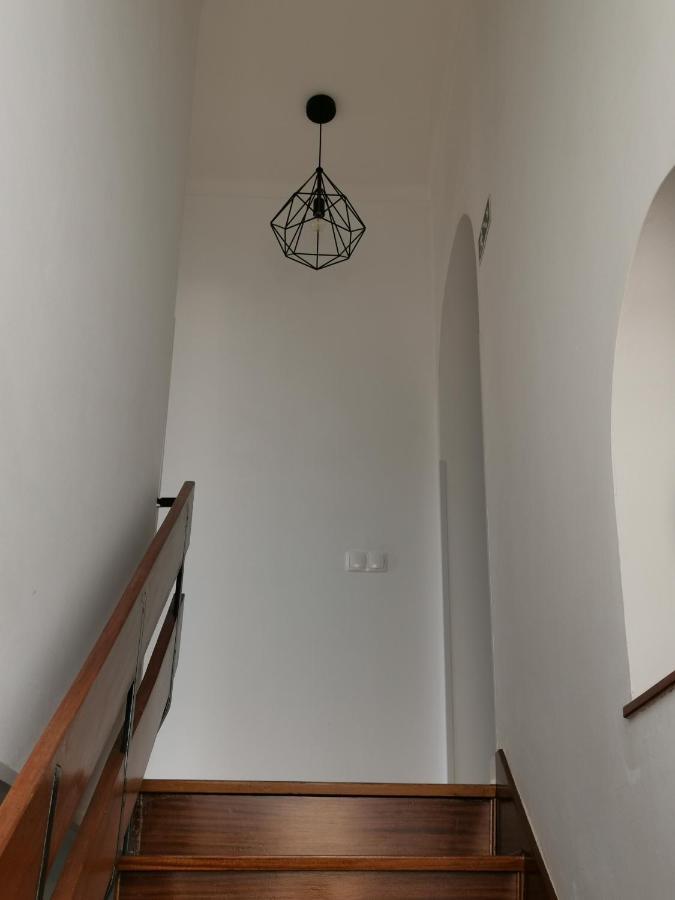 Villa Coimbra - Casa Inteira 외부 사진